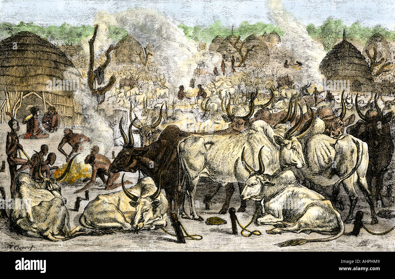 Rinder Farm der Dinka waren Suaheli sprechenden Menschen in Afrika 1800. Hand - farbige Holzschnitt Stockfoto
