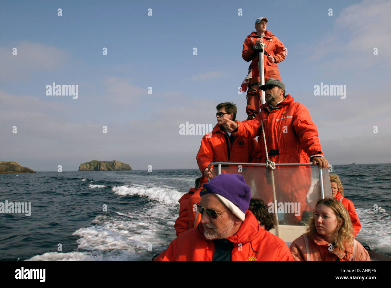 Ein Zodiac voller Menschen auf eine Whale watching Tour in Trinity Bay Bonavista Halbinsel Neufundland Kanada Stockfoto