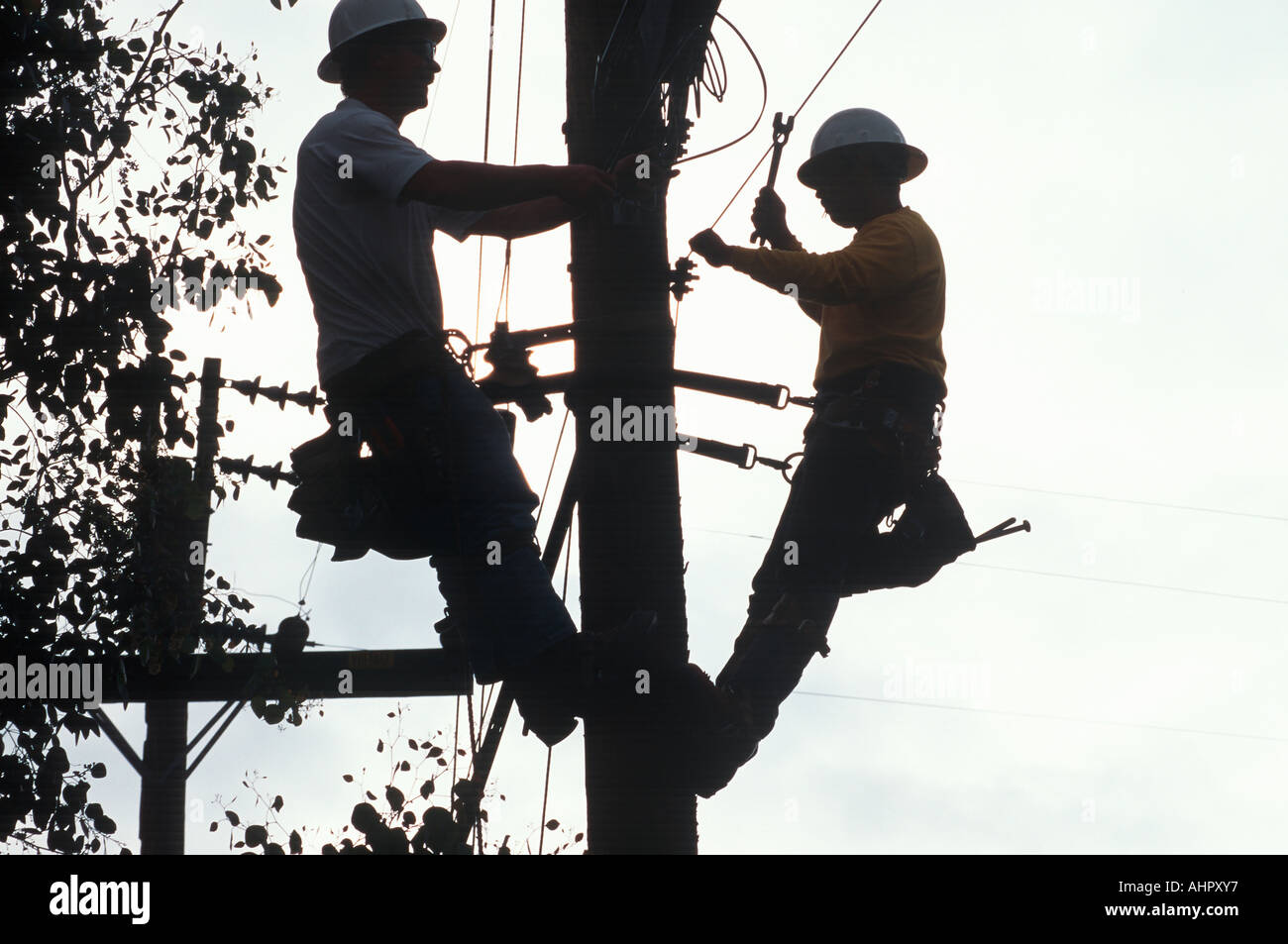 2 Telefonleitungen Reparateure arbeiten auf Pole in Ojai, Kalifornien Stockfoto