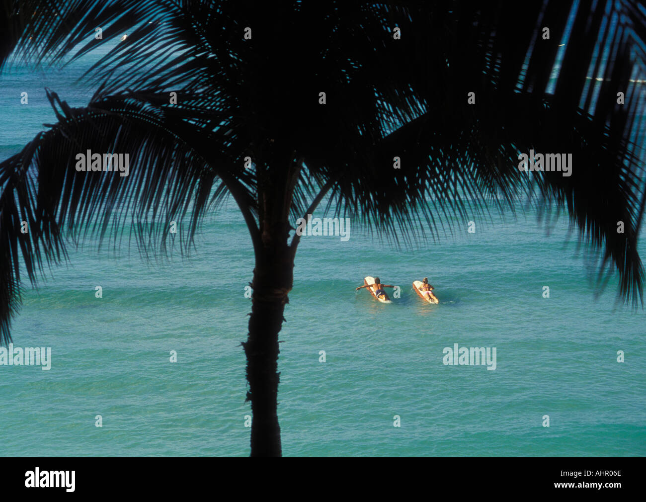 Paar, Paddeln Sie auf Surfbretter Blick durch Palmen vom Hotel Outrigger Waikiki Strand Oahu Hawaii Stockfoto