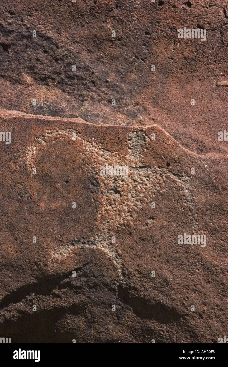 Uralte hawaiianische Petroglyphen in Lava-Gestein in der Nähe von Shipwreck Beach Lanai Hawaii geschnitzt Stockfoto