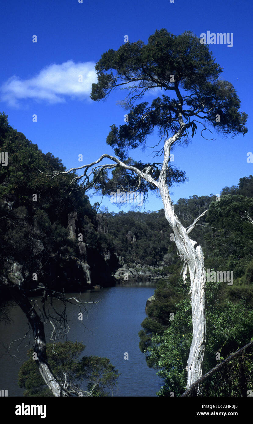 Cataract Gorge, Launceston, Tasmania, Australien Stockfoto