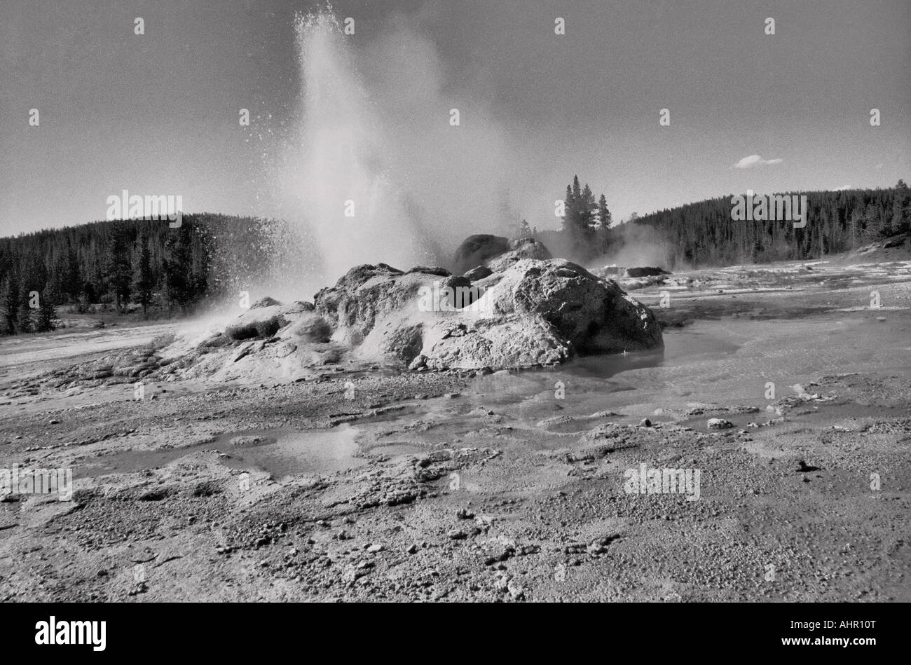 Yellowstone-Nationalpark, Wyoming, USA. Geysir ausbrechen. UNESCO-Weltkulturerbe. Stockfoto