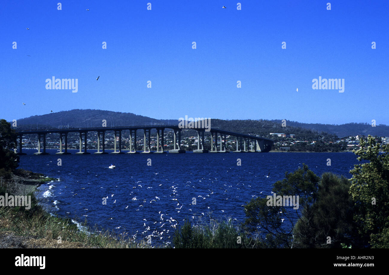 Möwen fliegen über River Derwent von Tasman Bridge, Hobart, Tasmanien