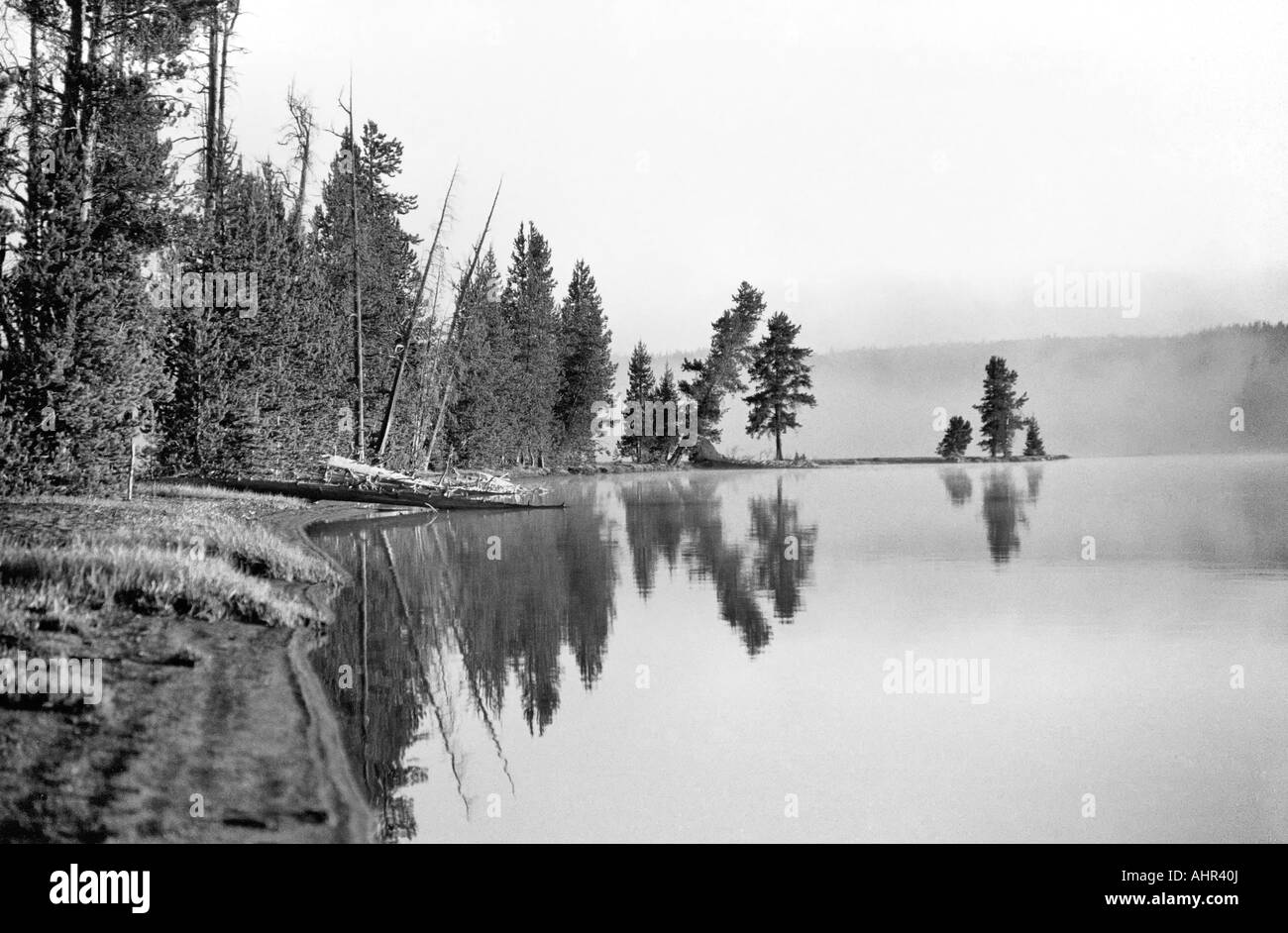 Yellowstone-Nationalpark, Wyoming, USA. Küste, Nebel und Reflexionen am Shoshone Lake, vor der Morgendämmerung. Stockfoto
