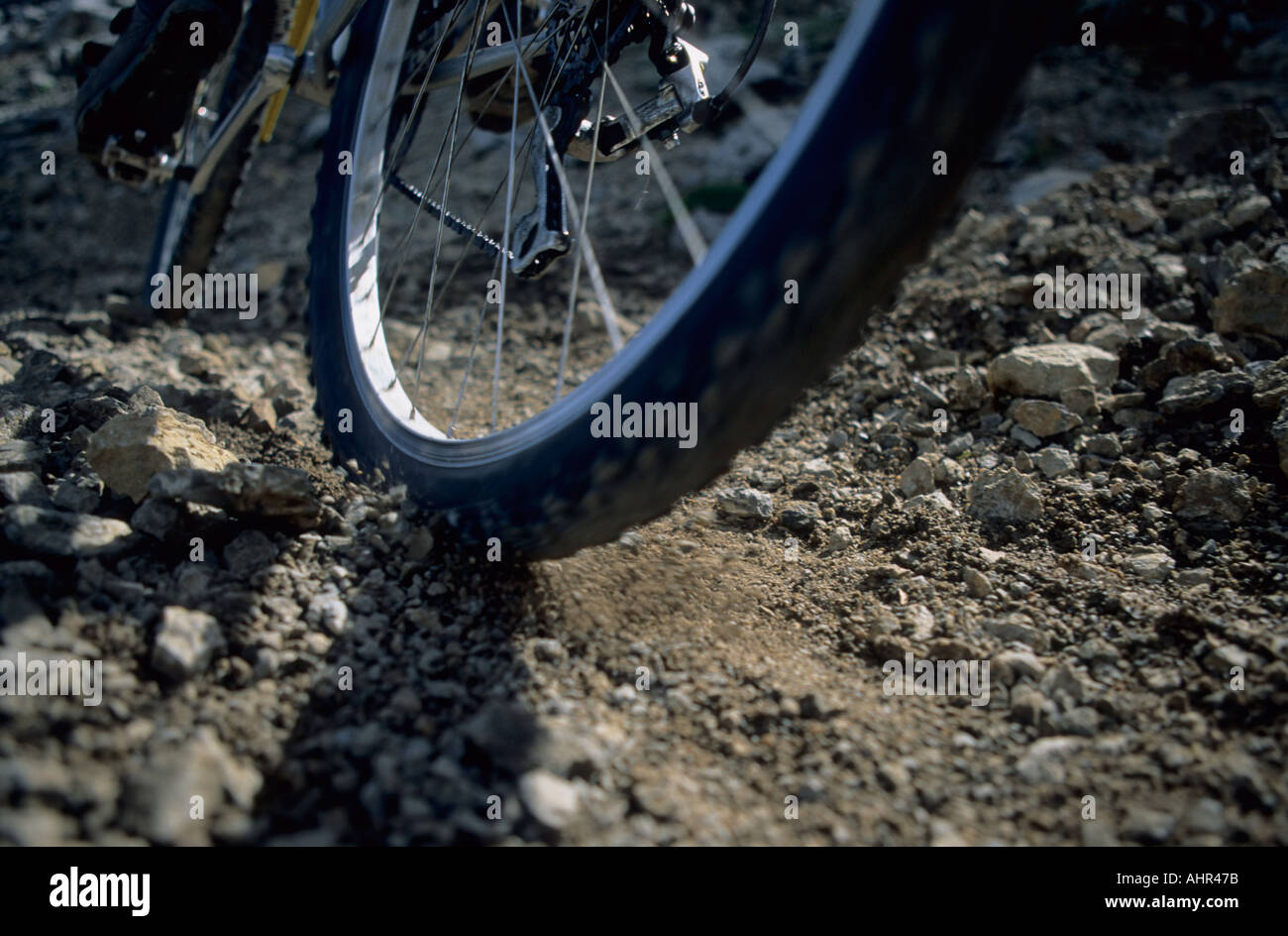 Nahaufnahme von einem Fahrrad-Rad Stockfoto