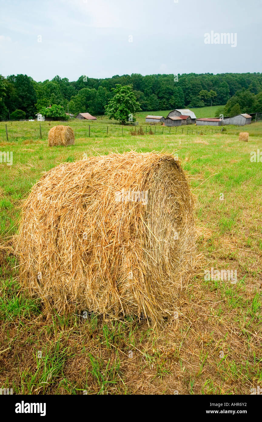 Eine kreisförmige Heuhaufen und Bauernhof am Blue Ridge Autobahn in North Carolina Stockfoto