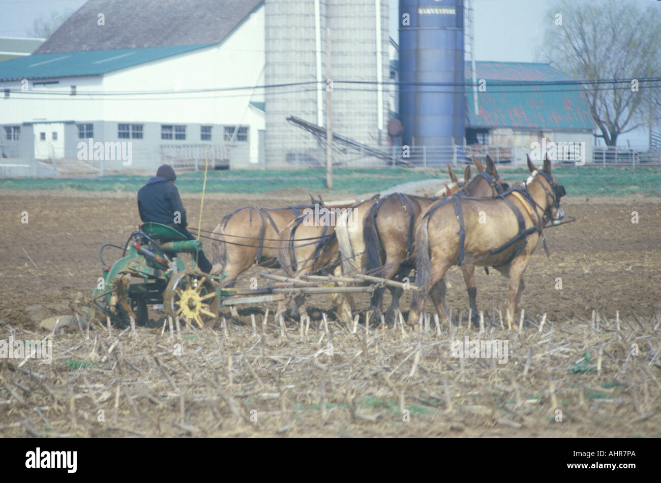 Landwirt und Pferd Pflügen der Felder in PA Stockfoto