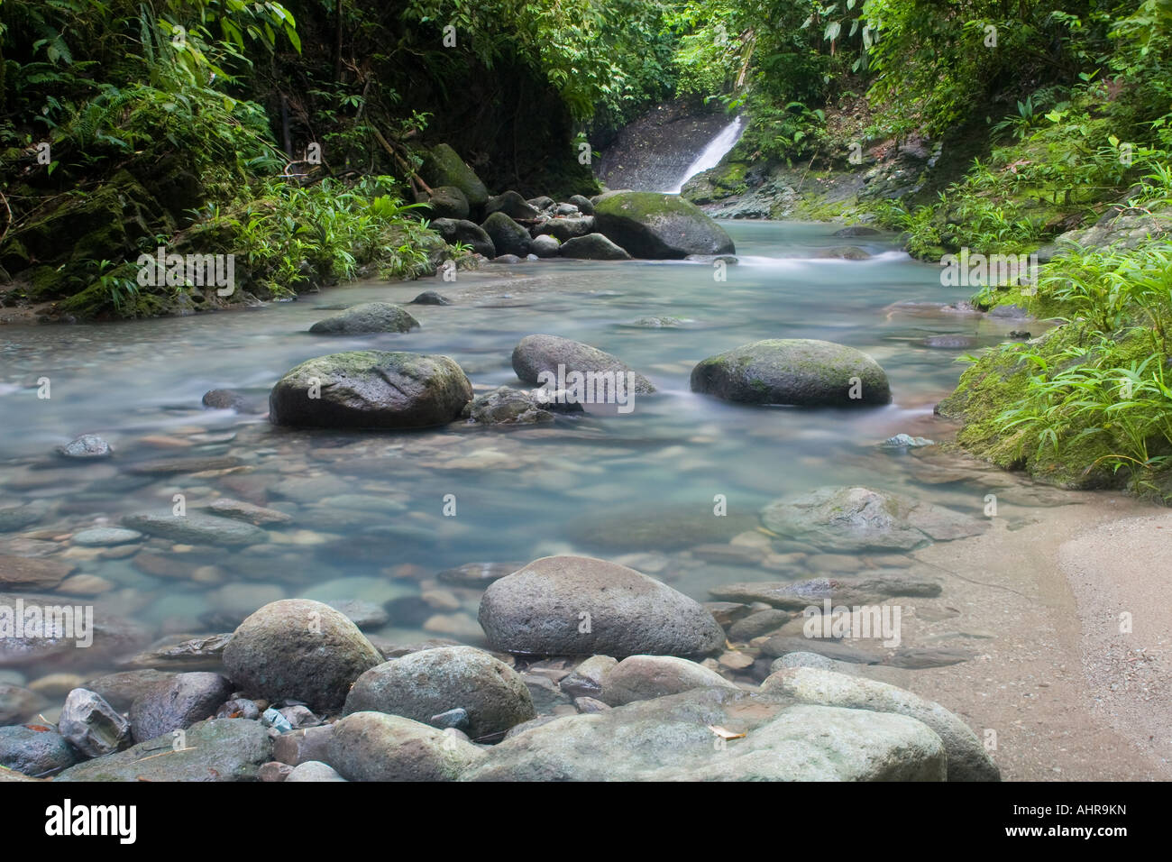 Üppige Bach und Wasserfall im Tiefland Regenwald von Panama. Stockfoto