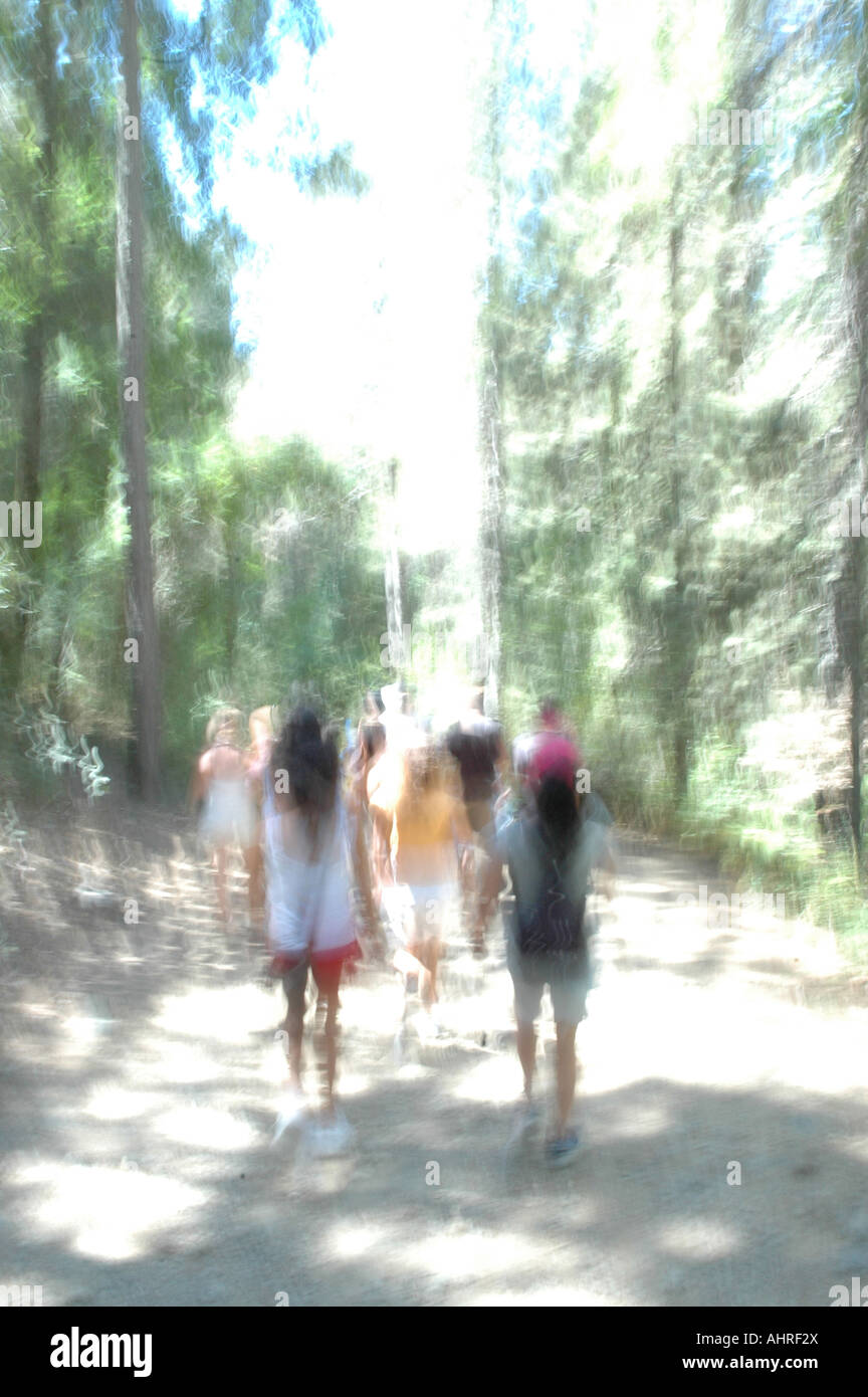 Absichtlich überbelichtetes Bild einer Gruppe von Jugendlichen, die zu Fuß in die Ferne in einem Wald Stockfoto