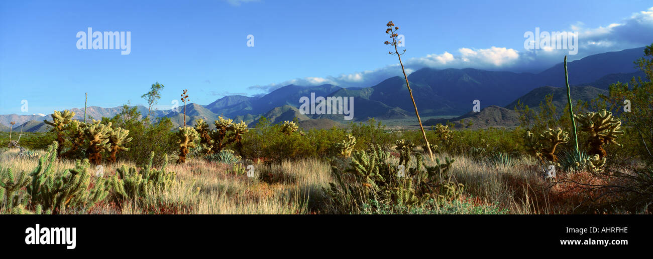 Schrift s Punkt Anza Borrego Desert State Park California Stockfoto