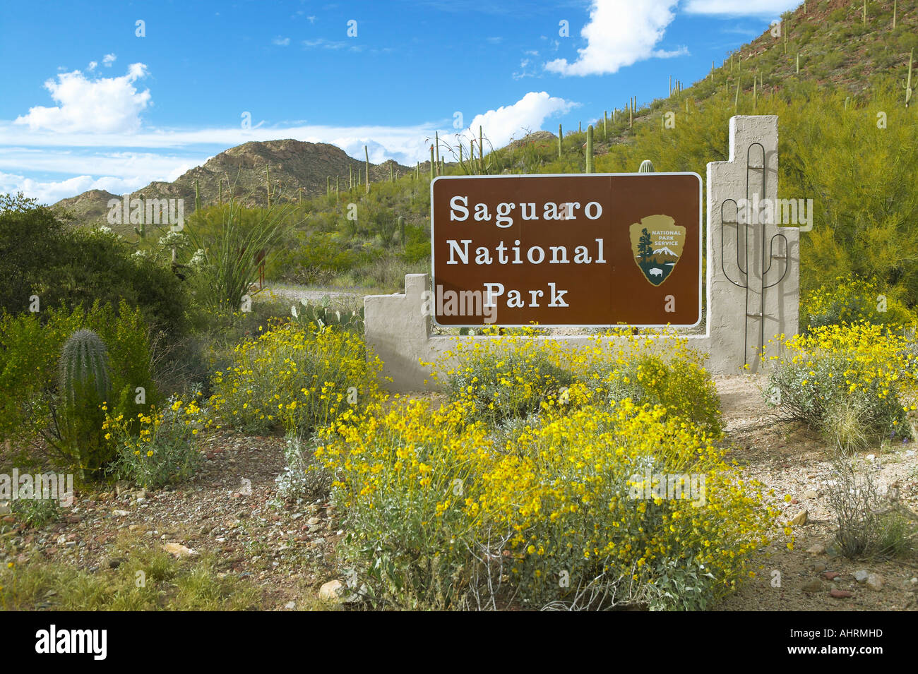 Saguaro National Park West Tucson AZ Willkommensschild Funktionen gigantischen Sonora Saguaro Kaktus Stockfoto