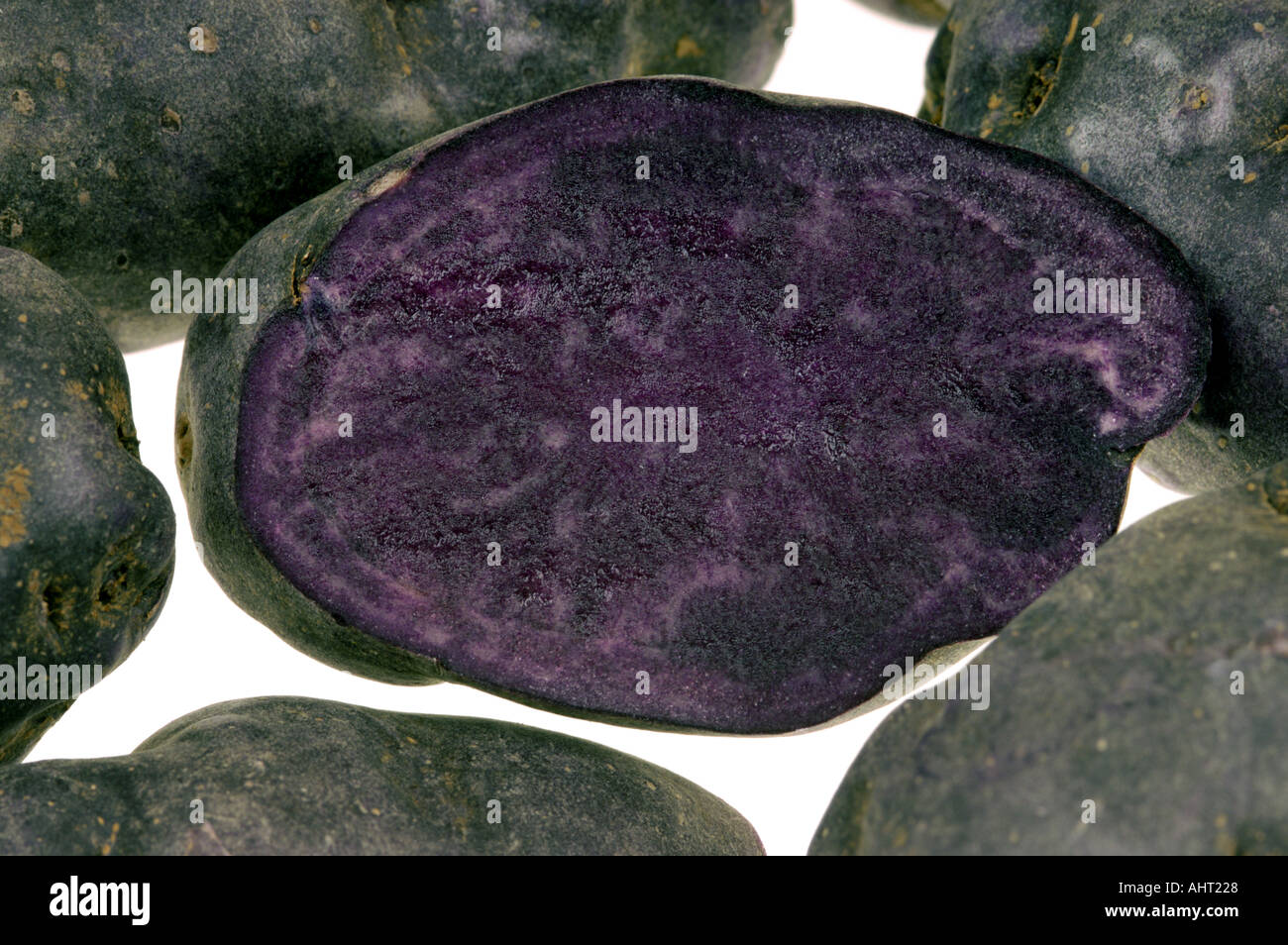 neue Art von Kartoffeln blaue Kartoffel Französisch Frankreich besondere Art schwarz Violett Noire schwarz Stockfoto