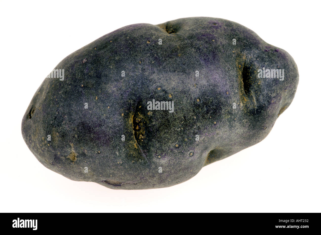 neue Art von Kartoffeln blaue Kartoffel Französisch Frankreich besondere Art Violett Noire schwarz Stockfoto
