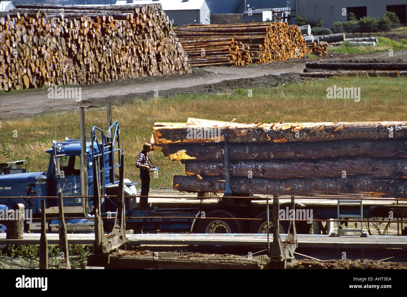Protokollierung und Baum, die Landwirtschaft in den Staat Washington Stockfoto