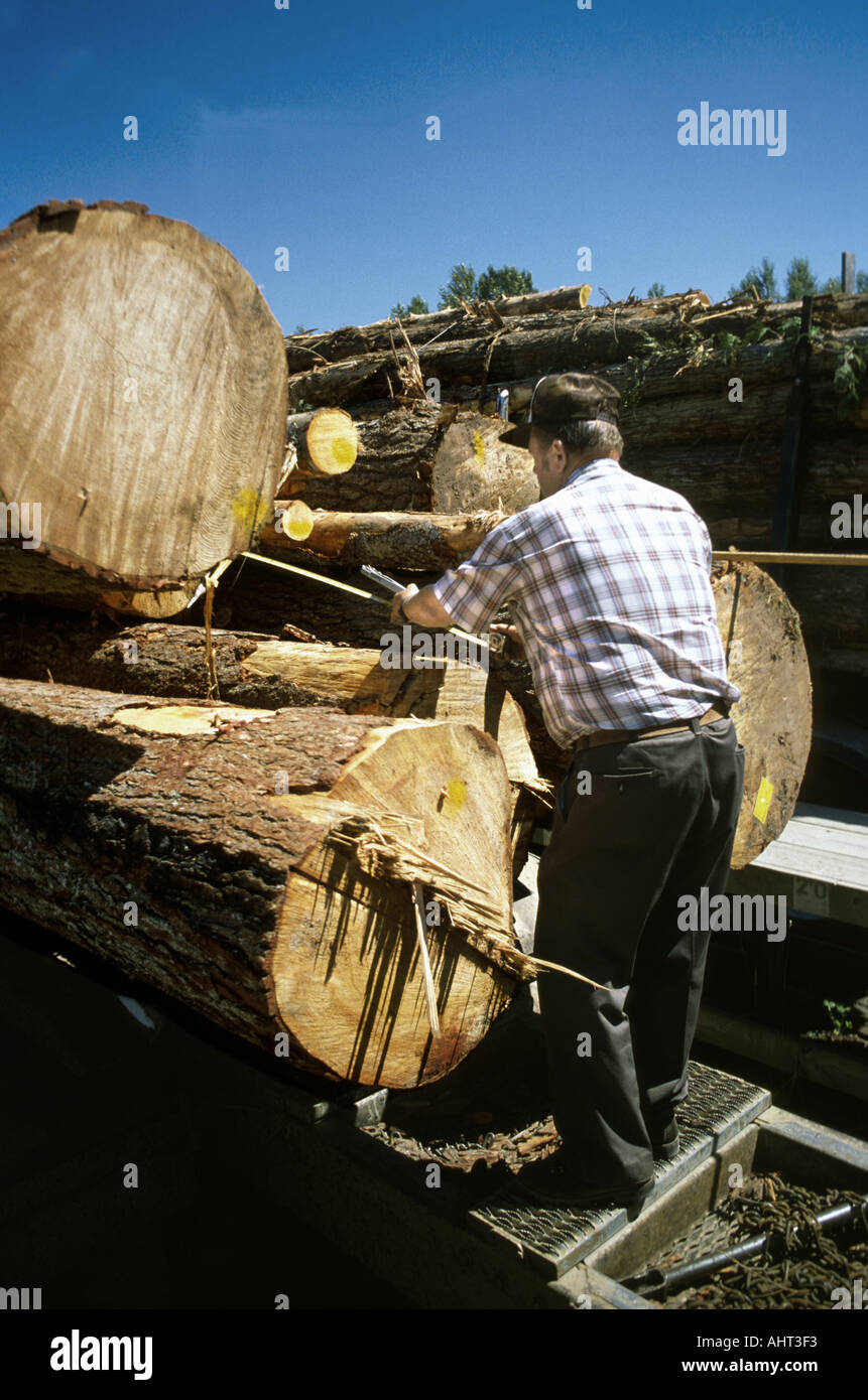 Protokollierung und Baum, die Landwirtschaft in den Staat Washington Stockfoto