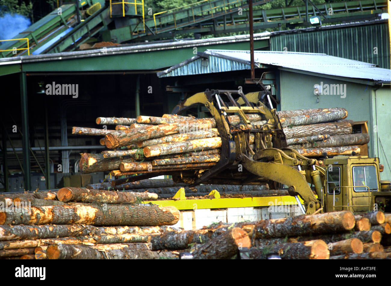 Protokollierung und Baum, die Landwirtschaft in den Staat Washington Stockfoto