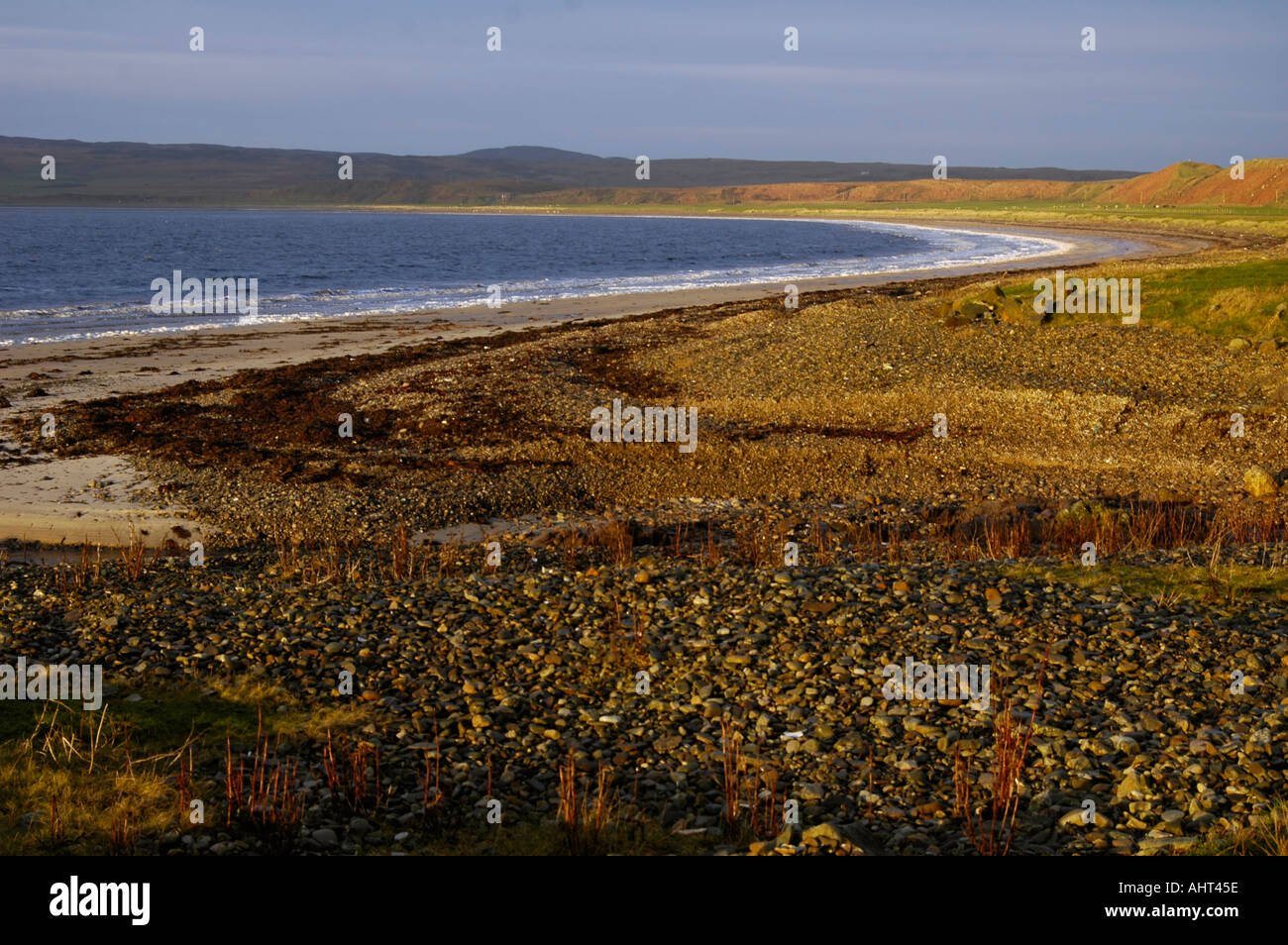 Wintersonne auf hob Buche Blackrock Loch Indaal Stockfoto