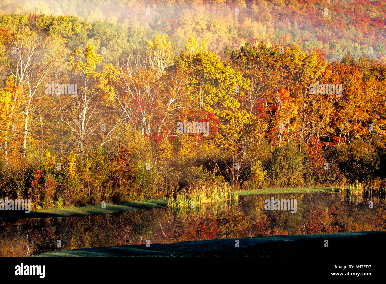 Herbstfarben Sie in New Brunswick 4 Stockfoto