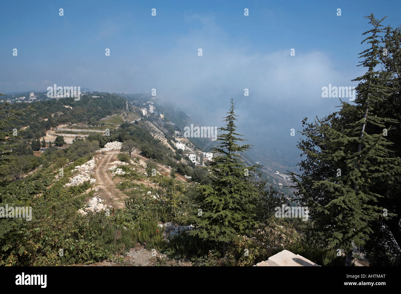 Lebenon Annaya Zedern in den Wolken Stockfoto