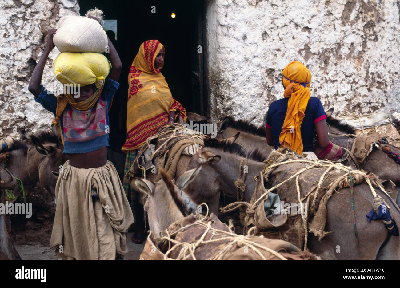 Frauen aus dem Stamm der Oromo kaufen Vorräte und laden ihre Packtiere. Harar, Ostäthiopien Stockfoto