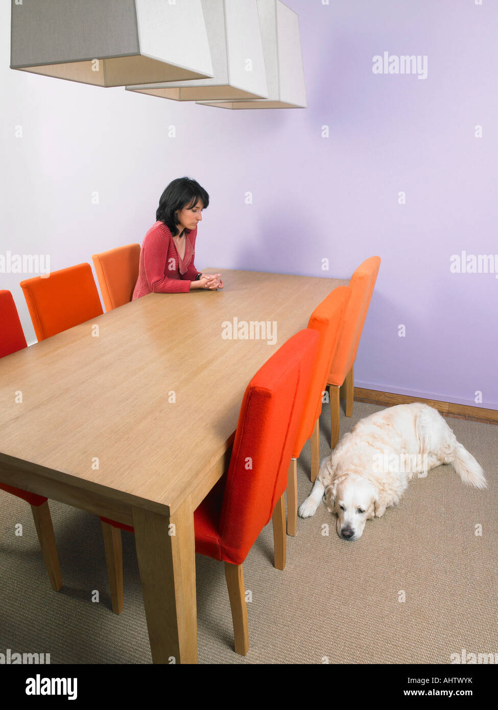 Geschäftsfrau wartet am Besprechungstisch mit Hund auf Boden zu schlafen. Stockfoto