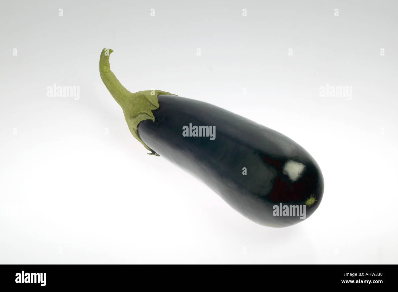 AAD 91589 ein einziges Stück Gemüse indigo violett AUBERGINE Aubergine Baingan Stockfoto