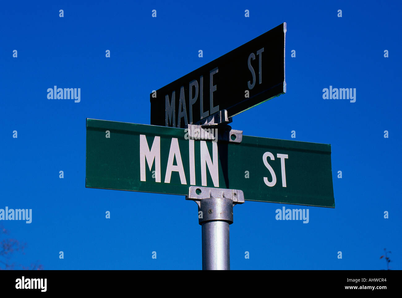 Dies ist ein Straßenschild Kennzeichnung der Ecke Main Street Maple Street, die Zeichen grün mit weißem Schriftzug vor blauem Himmel Stockfoto