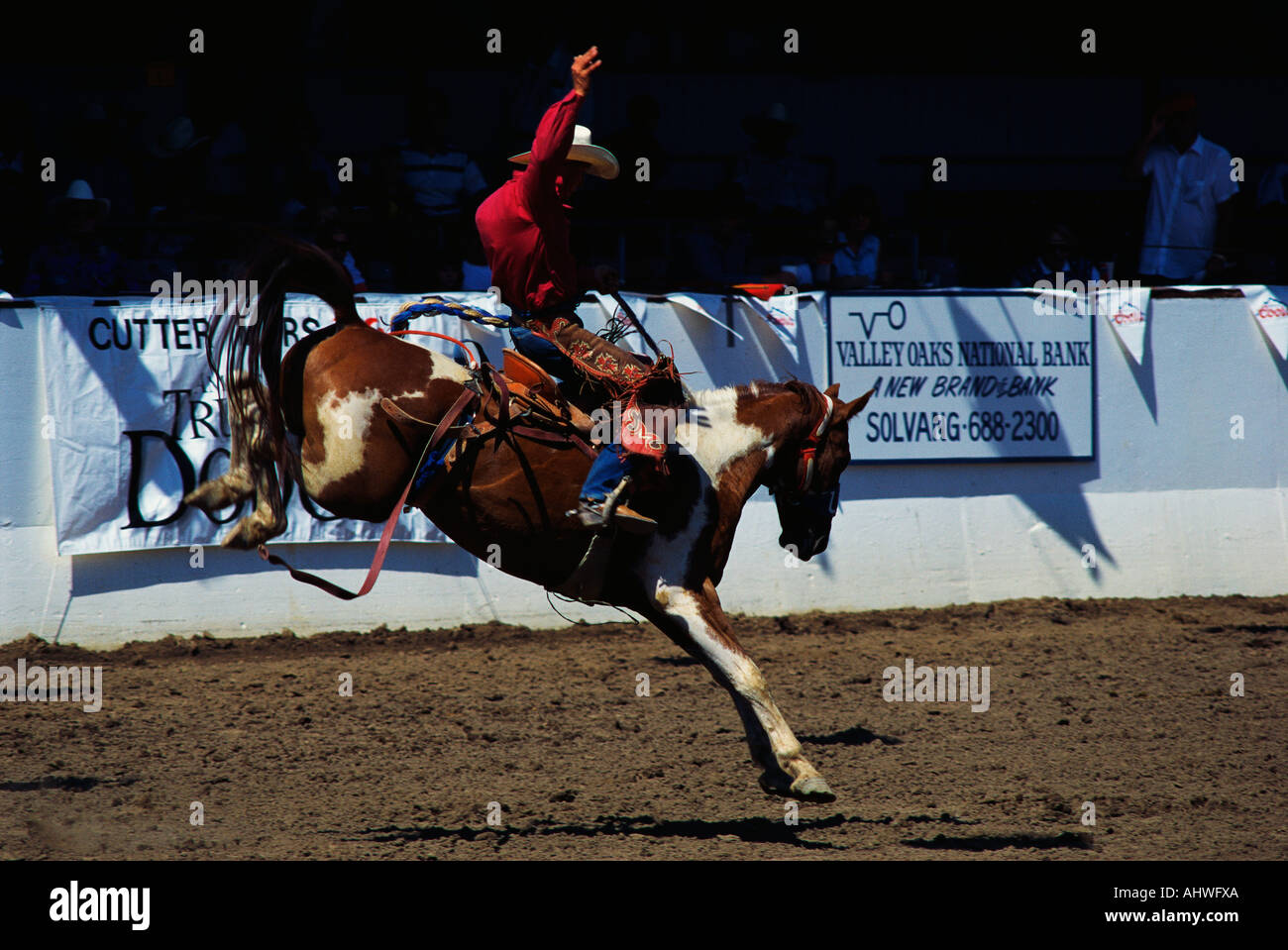 Dies zeigt, dass Sattel Bronco Reiten an der Santa Barbara Old Spanish Tage Fiesta Rodeo Stock Horse Show It der Earl stattfand Stockfoto
