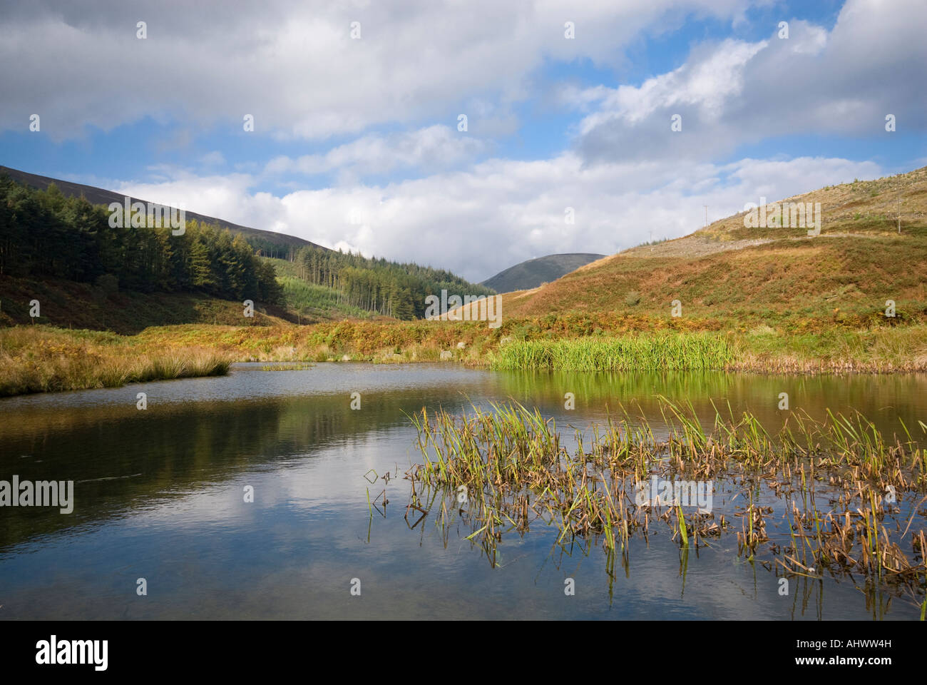 Trog von Bowland Stockfoto