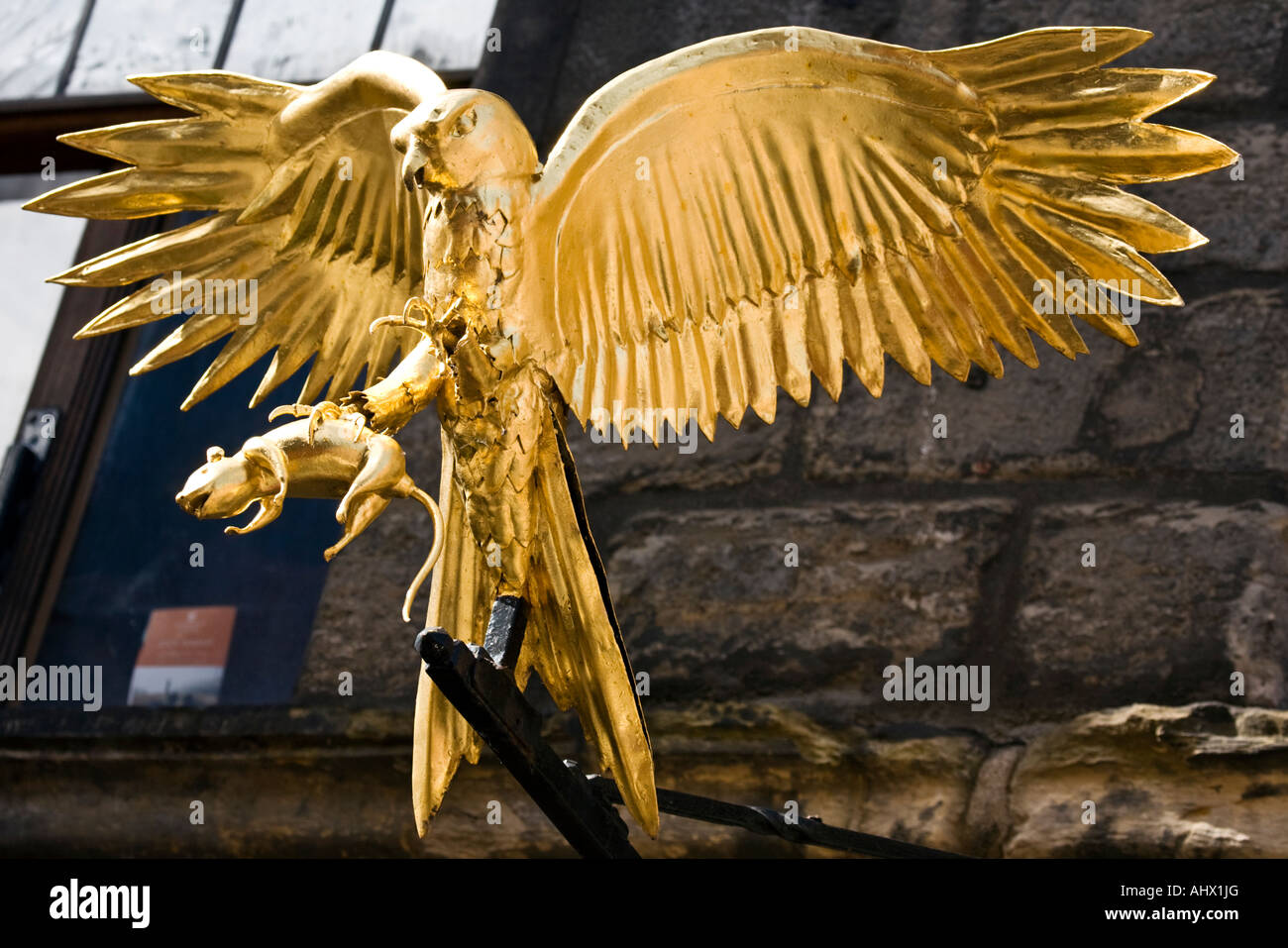 Diese golden Hawk und Ratte Skulptur sitzt oben auf ein Wegweiser in Edinburgh High Street, Royal Mile Schottland. Stockfoto