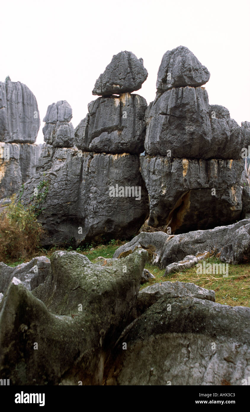 China Yunnan Shilin Steinwald phallische Felsformation Stockfoto