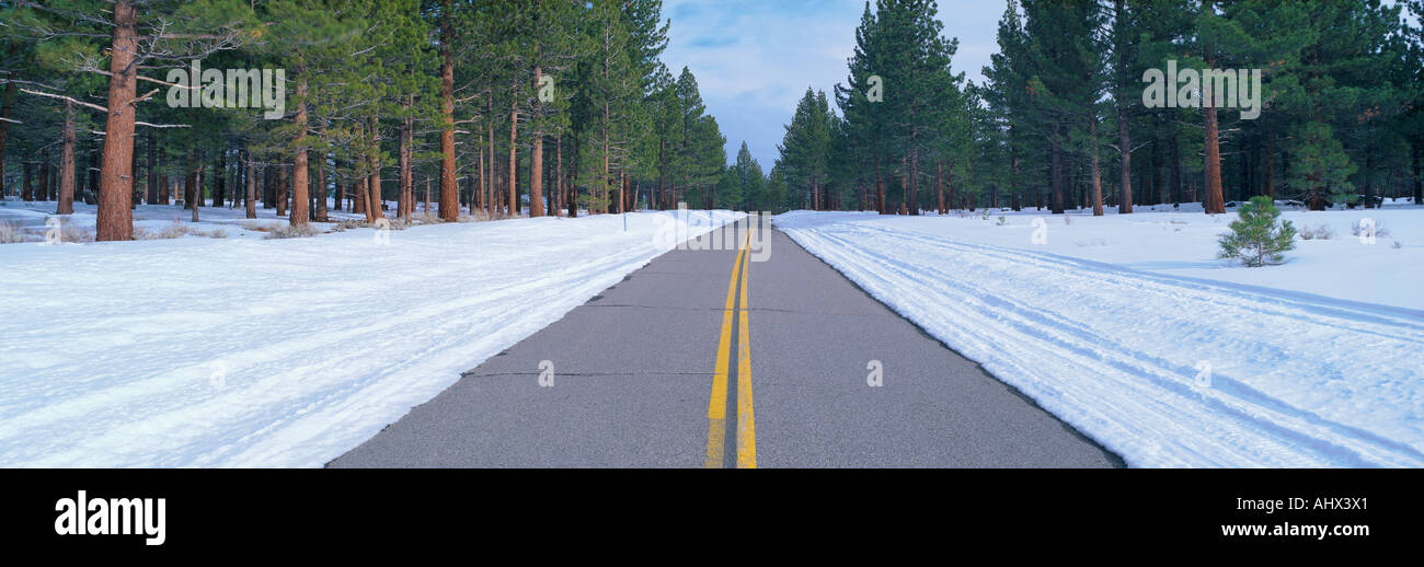 Zweispurige Straße im Schnee mit immergrünen Bäumen Stockfoto