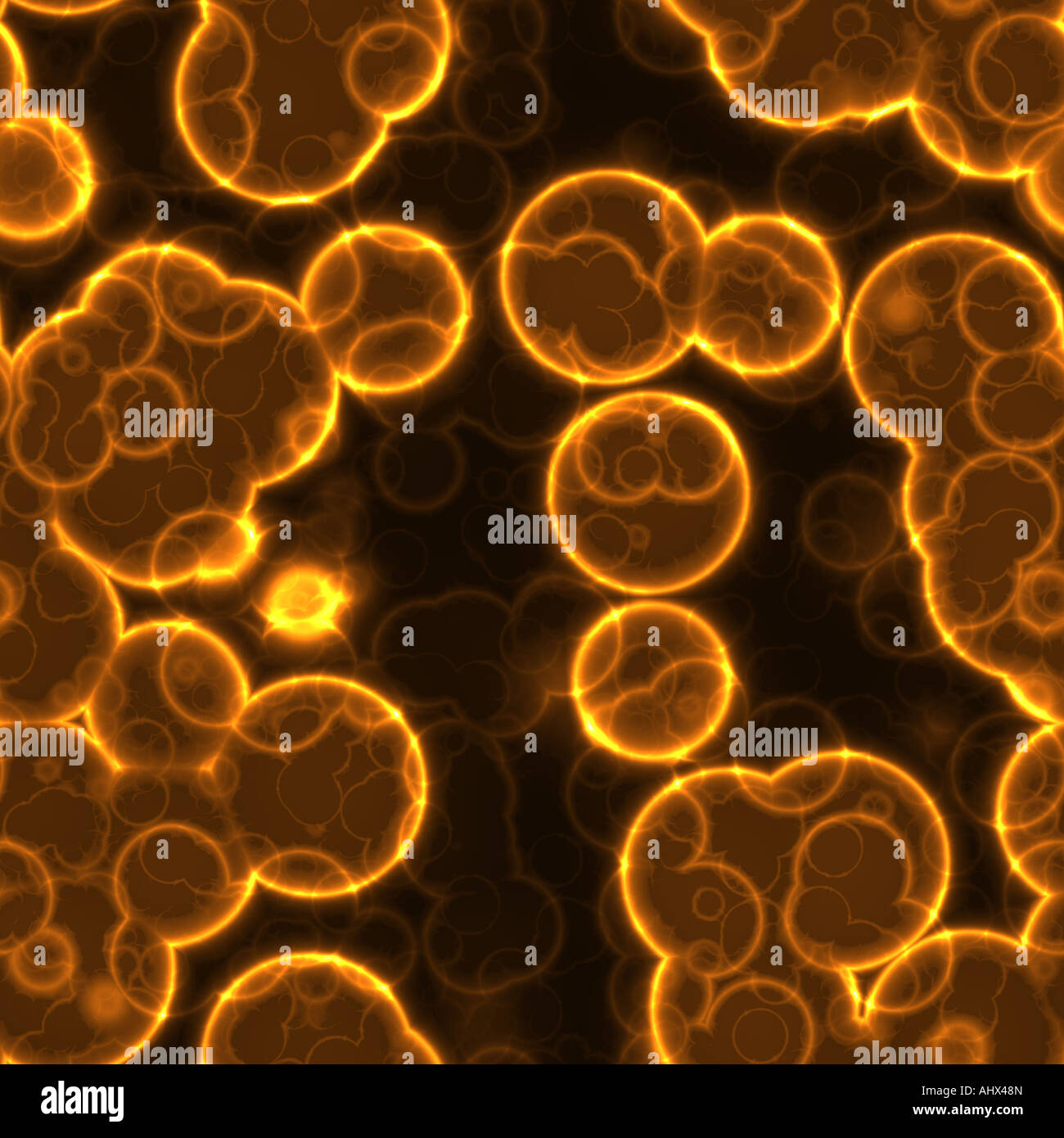 ein großes Hintergrundbild von Zellen oder Bakterien unter dem Mikroskop Stockfoto