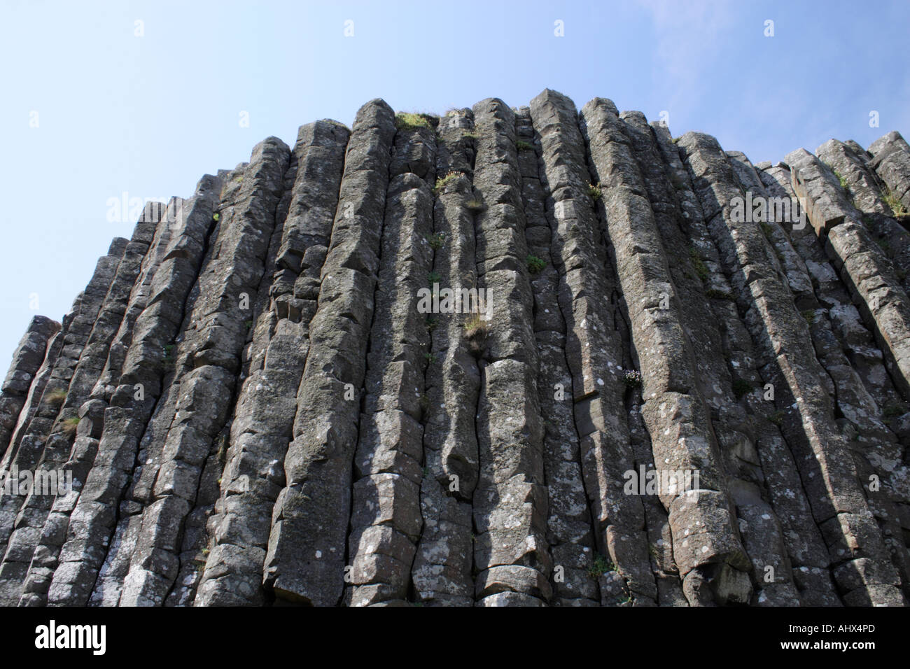 Eine Wand aus vulkanischen Felsen Basaltsäulen an die Giants Causeway, Irland. Stockfoto