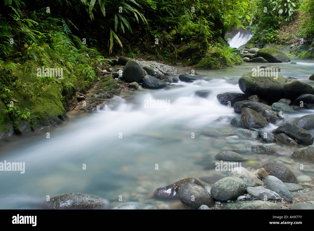 Üppige Bach und Wasserfall im Tiefland tropischen Regenwald von Panama. Stockfoto