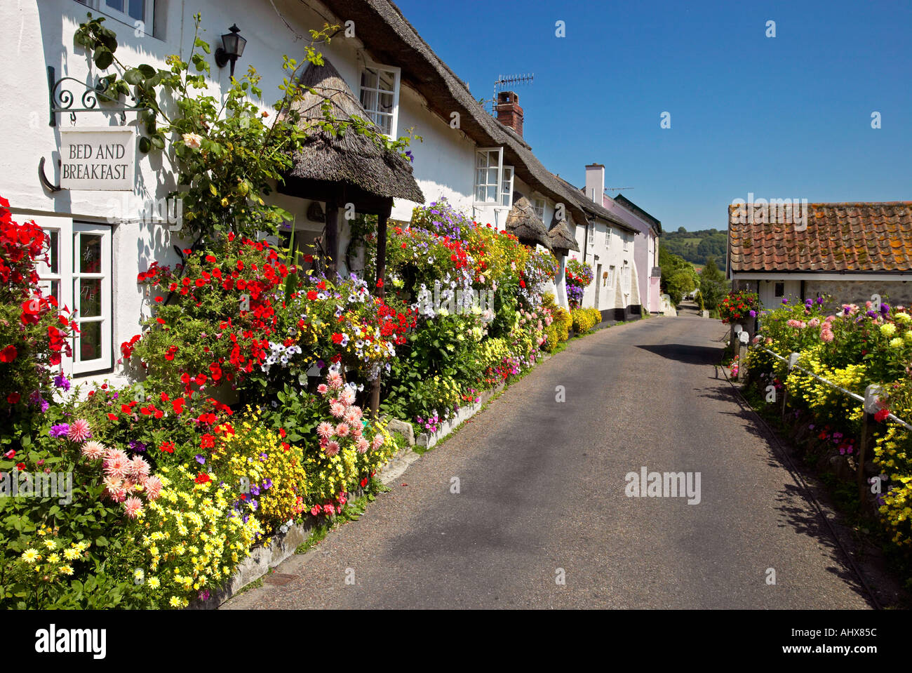 Ferienhäuser in Branscombe Devon England Stockfoto