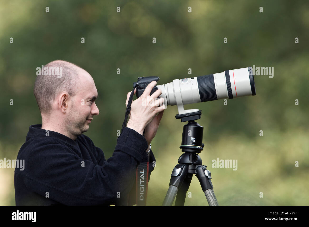 Mann überprüfen Bild hinten lcd im Richmond Park in London Stockfoto