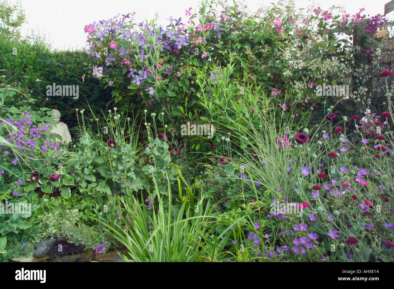 Kleinen Garten Hinter Dem Haus Gut Verpackt Mit Pflanzen Zeigen