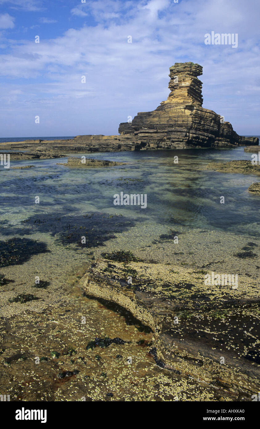 Seastack Mey Stockfoto