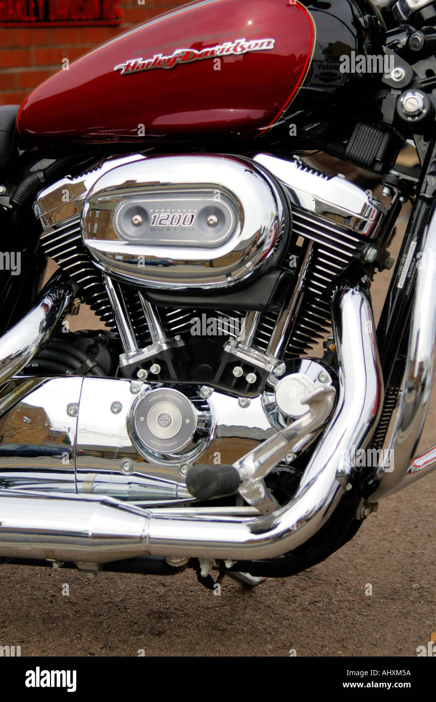 Nahaufnahme von einem V-Twin-Motor von Harley Davidson Sportster 1200 Custom Motorrad Stockfoto