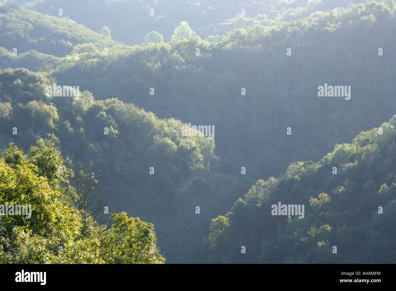 Cheddar Gorge Somerset England Stockfoto