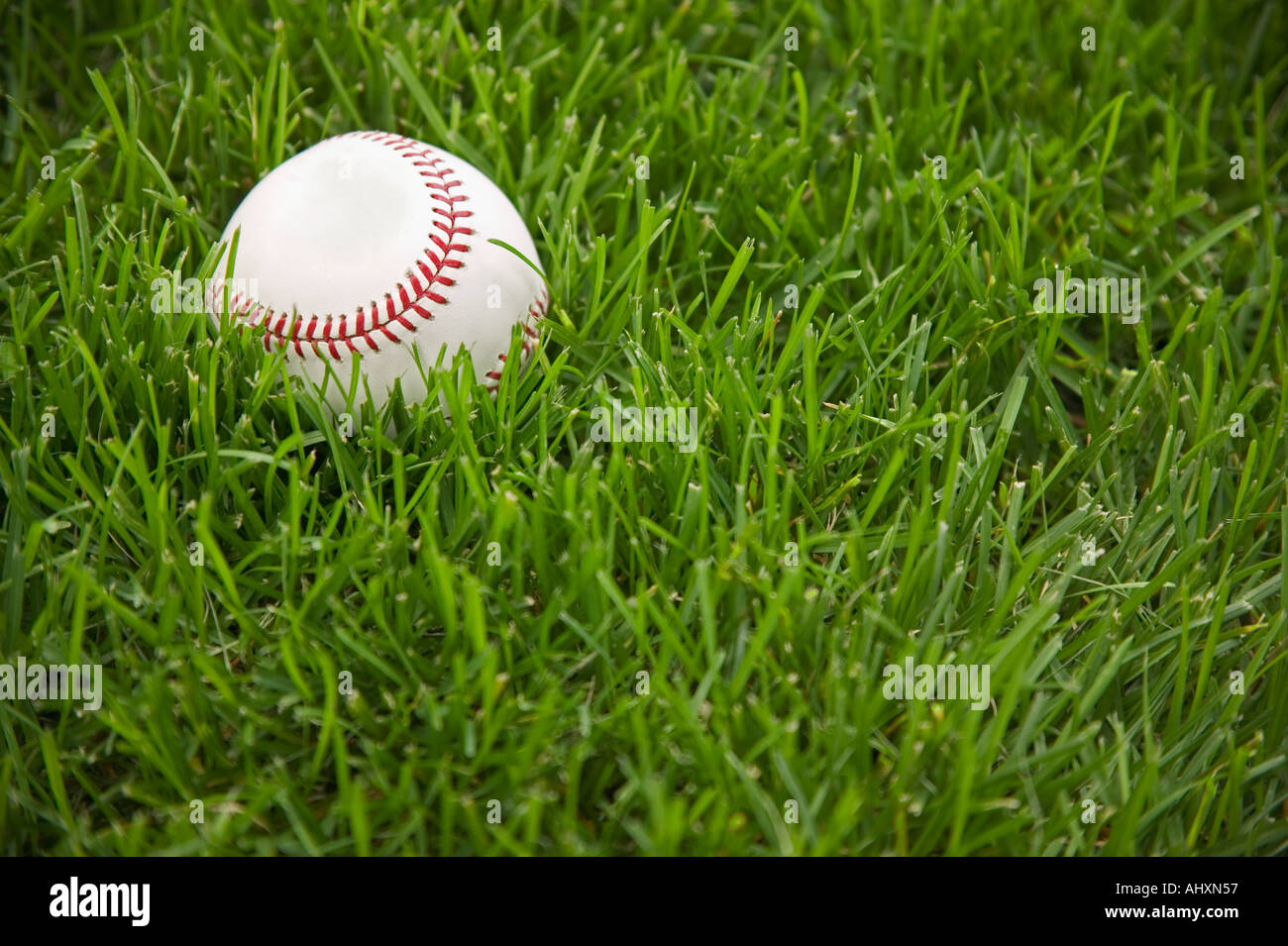Baseball, die Verlegung auf dem Rasen Stockfoto