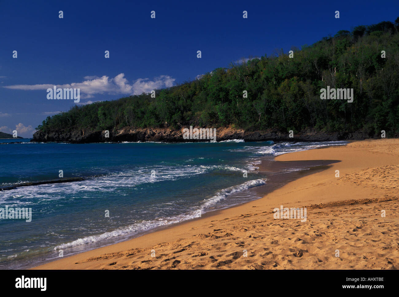 Anse de la Perle, Strand, in der Nähe der Stadt, Insel Basse-Terre deshaies Guadeloupe, Französische Antillen, Frankreich Stockfoto