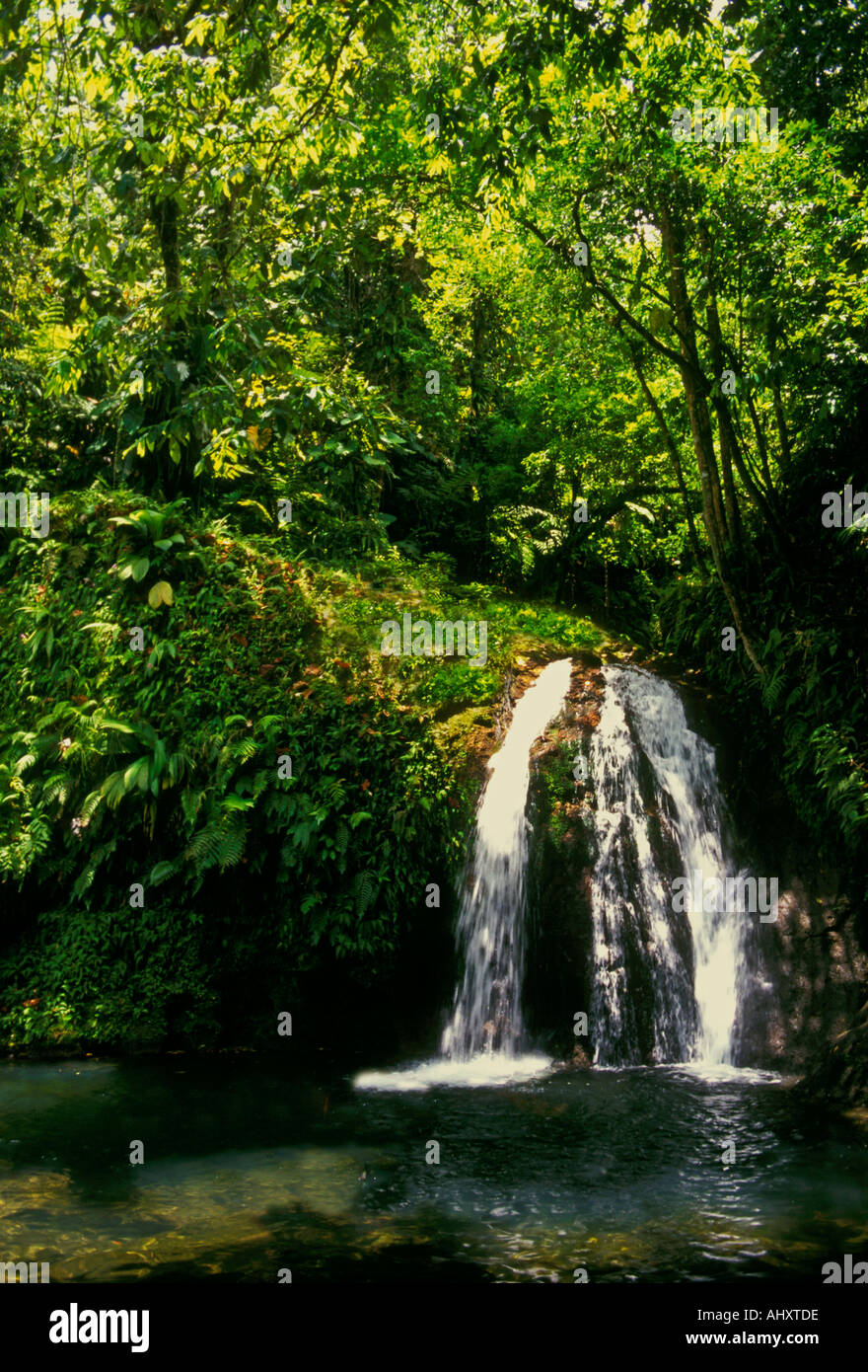 La Cascade aux Ecrevisses, Langusten, Krebse Wasserfall fällt, Wasserfall, Basse-Terre, Guadeloupe, Französische Antillen, Frankreich Stockfoto