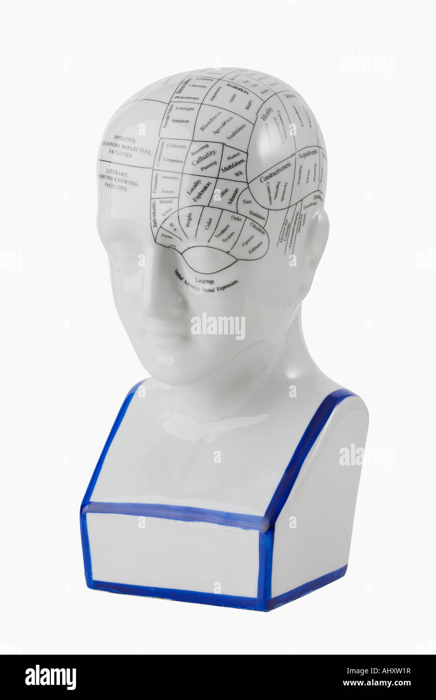 Nahaufnahme von Phrenologie Kopf Diagramm Stockfoto