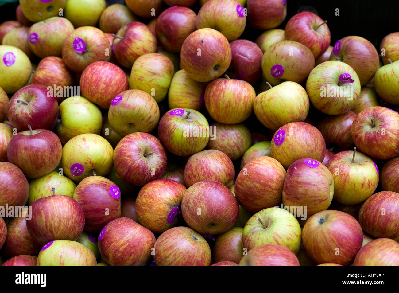 englische Äpfel auf Borough Market London Stockfoto