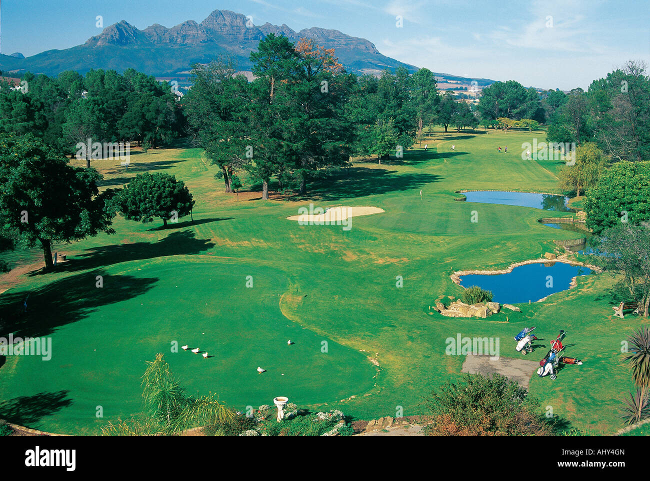 Stellenbosch Golfplatz Western Cape Südafrika Stockfoto