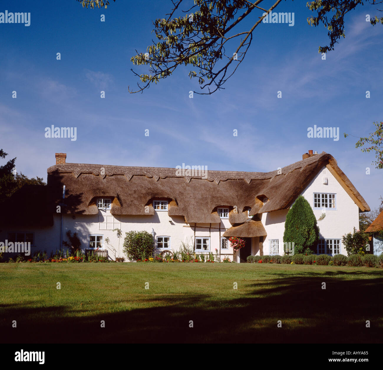 Reetdachhaus-Haus in England in Großbritannien im Vereinigten Königreich Großbritannien. Housing Thatch Landschaft Reichtum reichen Wohlstand Wohlstand Stockfoto