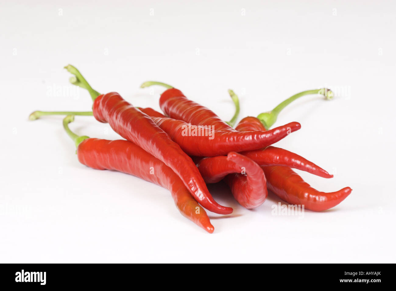 frische rote Chilischoten auf weißem Hintergrund Stockfoto
